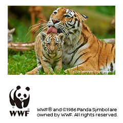 世界自然保護基金ジャパンへ寄付